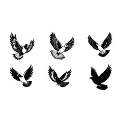 flying pigeon set Vector art illustration