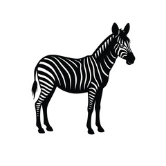 zebra victor art Illustration 