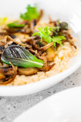 A close-up of creamy risotto topped with sautéed mushrooms and fresh greens, elegantly arranged on a white plate. The dish showcases a rich blend of textures and flavors.
