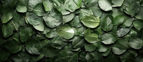Obraz premium Lush Green Leaves Texture Background