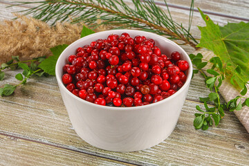 Natural organic wild forwst lingonberry