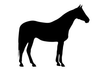Standing Horse Silhouette Vector Isolated on White