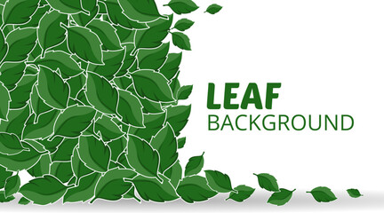 natural background fresh green leaves