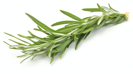 This image showcases a sprig of rosemary with vibrant green leaves, perfect for enhancing your culinary creations and adding flavor to dishes.