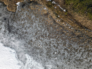 aerial view of frozen lake shore from above