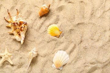 Composition with beautiful seashells on beach sand