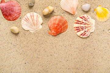Composition with beautiful seashells and pebbles on sand