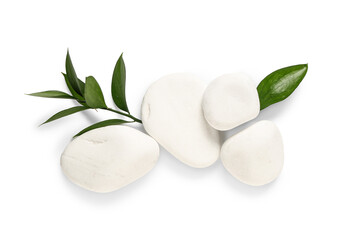 Composition with spa stones and plant branch on white background