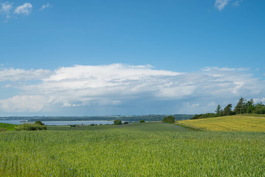 Beautiful nature of Mols Bjerge National park in Denmark