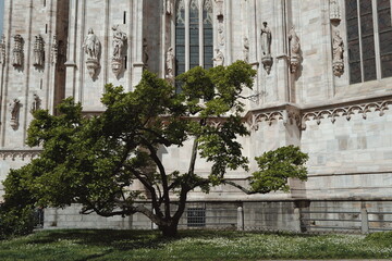 Piazza del Duomo di Milano