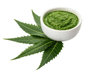 neem leaves paste in bowl isolated PNG