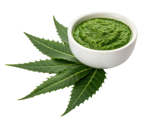 neem leaves paste in bowl isolated PNG