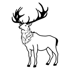 elegant deer with antlers outline