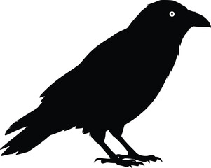 Obraz premium Silhouette of a raven in side profile, with visible beak, tail, and eye, symbolizing intelligence
