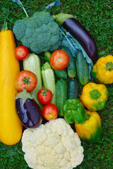 Colorful assortment of fresh vegetables arranged on green grass in bright sunlight