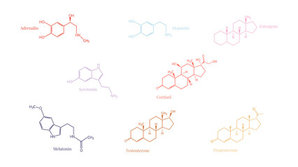 Set of 8 common hormone molecules structures including Adrenaline, Dopamine, Serotonin, Melatonin, Cortisol, Testosterone, Estrogen, and Progesterone, human biology, hormone balance, mental health © JaRu Creative Studio
