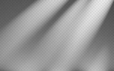Abstract shadow overlay from foliage on a transparent background.