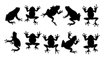 set of frog silhouette vector on white background