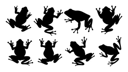 Fototapeta premium set of frog silhouette vector on white background