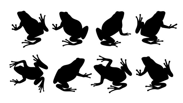 set of frog silhouette vector on white background