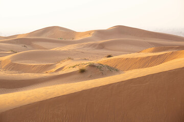 Sand Dunes in Desert Landscape During Sunrise