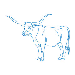 Elegant Blue Line Drawing of a Standing Longhorn Cow with Distinctive Curved Horns in Minimal Vintage Western Farm Style Illustration