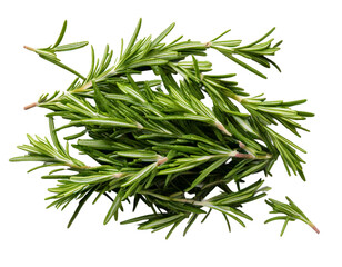 Fototapeta premium Rosemary isolated on white background, Top view, generative ai