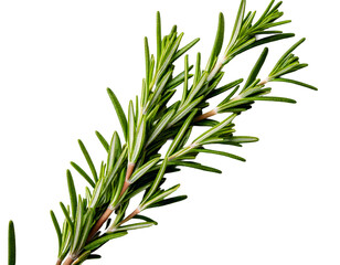 Fototapeta premium Rosemary isolated on white background, Top view, generative ai