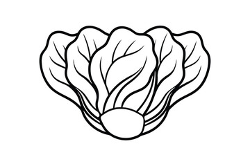 Line art drawing of bok choy with broad and cupped leaves.eps