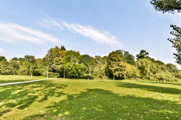 A vibrant park scene showcasing a panoramic view of lush green grass and trees under a clear blue sky, ideal for outdoor activities and relaxation.