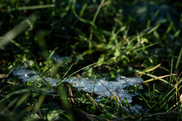 wiese schnee kalt frost winter