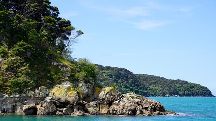 Fototapeta premium Rocky coastline of New Zealand