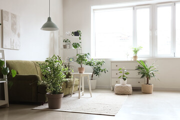 Interior of stylish living room with green sofa, coffee table and houseplants
