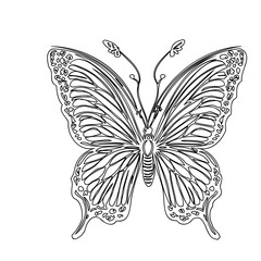Monochrome Butterfly Line Art Intricate Design