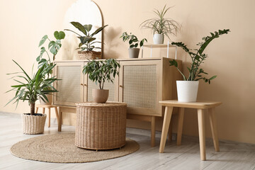 Stylish wooden cabinet with different houseplants near beige wall