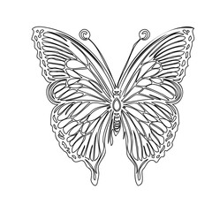 Butterfly Outlines for Coloring Book Designs