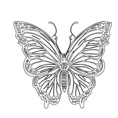 Detailed Butterfly Outline Illustration Design