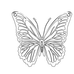 Detailed Outlined Butterfly Illustration Design
