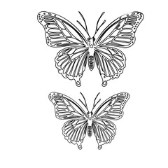 Delicate Winged Duo: Butterfly Silhouette Harmony