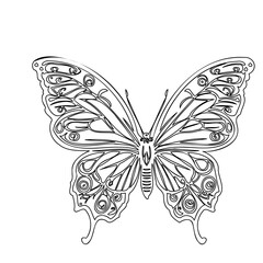 Butterfly vector art for digital design projects