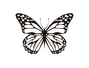 Butterfly silhouette vector illustration	

