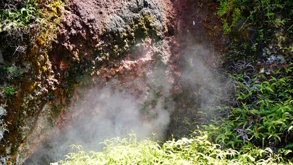 Fototapeta premium New Zealand Rotorua Geothermal park steam vents