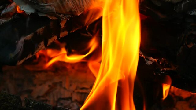 burning wood and paper. firewood is burning. tongues of flame. orange flame. bonfire. wood-fired cooking. firewood is burning for cooking barbecue