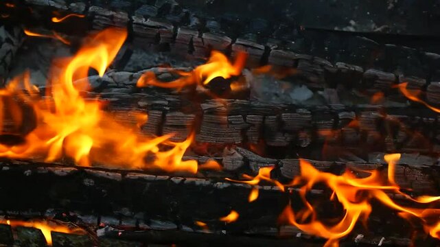 burning wood and paper. firewood is burning. tongues of flame. orange flame. bonfire. wood-fired cooking. firewood is burning for cooking barbecue