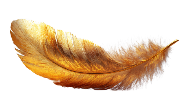 Gold feather cluster, high-definition, realistic look, isolated on white background