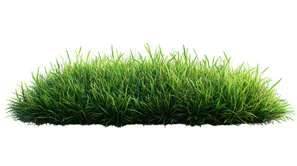 Grass patch with realistic shadows, natural ground texture, isolated on white background