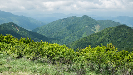 mountain landscape in summer