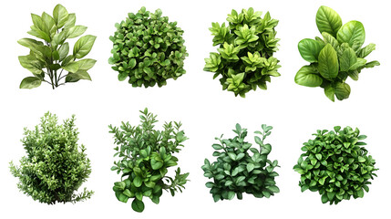 Naklejka premium Green bushes and hedges in different shapes, realistic 3D, isolated on white background