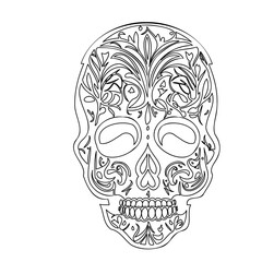 Ornate Skull Illustration with Floral Detailing