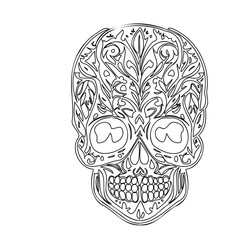 Floral Skull Outline Drawing Intricate Design